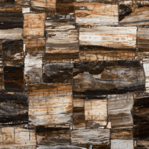 Petrified wood stone colour slab Randburg